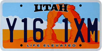 UT license plate Y161XM