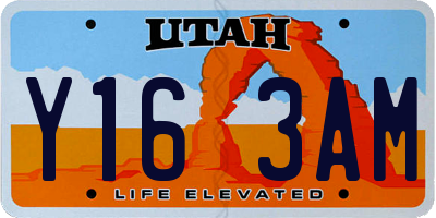 UT license plate Y163AM