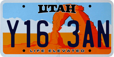 UT license plate Y163AN