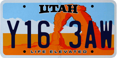 UT license plate Y163AW