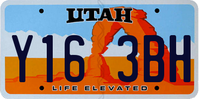UT license plate Y163BH