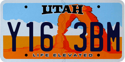 UT license plate Y163BM