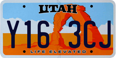 UT license plate Y163CJ