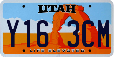 UT license plate Y163CM