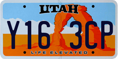 UT license plate Y163CP