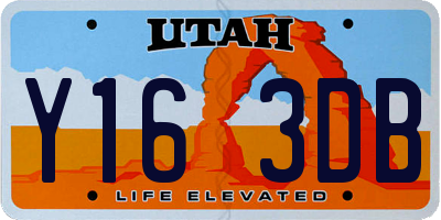 UT license plate Y163DB