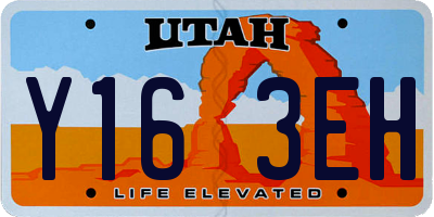 UT license plate Y163EH