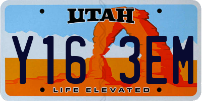 UT license plate Y163EM