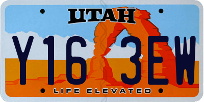 UT license plate Y163EW