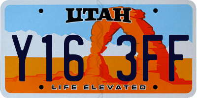 UT license plate Y163FF