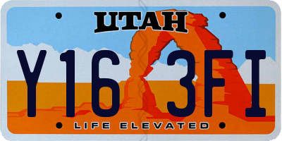 UT license plate Y163FI