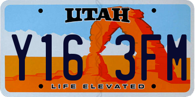 UT license plate Y163FM