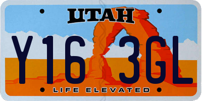 UT license plate Y163GL