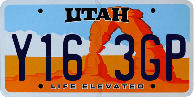 UT license plate Y163GP