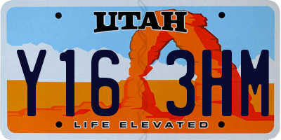 UT license plate Y163HM
