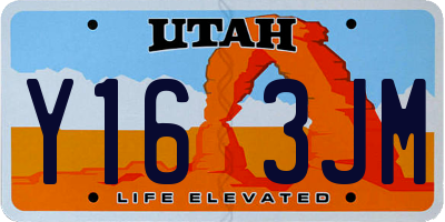 UT license plate Y163JM