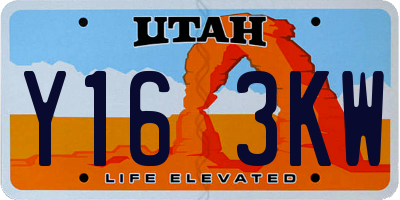 UT license plate Y163KW