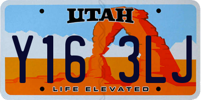 UT license plate Y163LJ