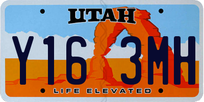 UT license plate Y163MH