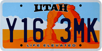 UT license plate Y163MK