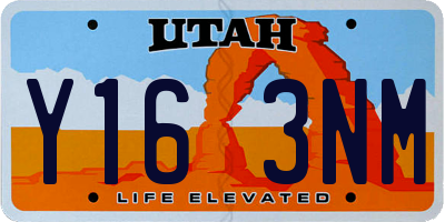 UT license plate Y163NM