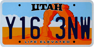 UT license plate Y163NW