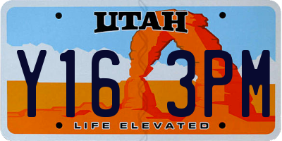 UT license plate Y163PM