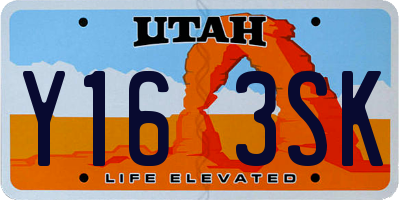 UT license plate Y163SK