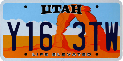 UT license plate Y163TW