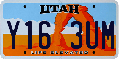 UT license plate Y163UM