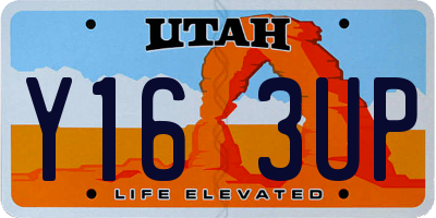 UT license plate Y163UP