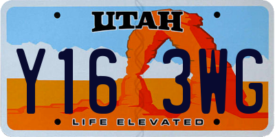 UT license plate Y163WG