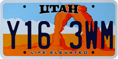 UT license plate Y163WM
