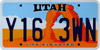 UT license plate Y163WN