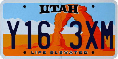 UT license plate Y163XM