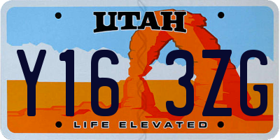 UT license plate Y163ZG
