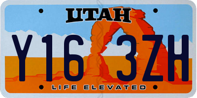 UT license plate Y163ZH