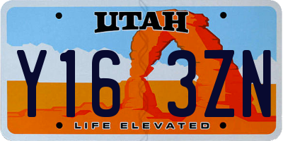 UT license plate Y163ZN
