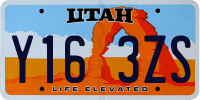 UT license plate Y163ZS