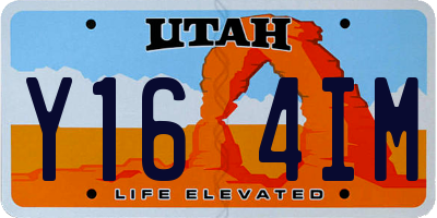 UT license plate Y164IM