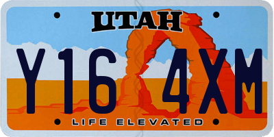 UT license plate Y164XM