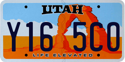 UT license plate Y165CO