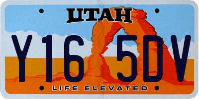UT license plate Y165DV