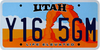 UT license plate Y165GM