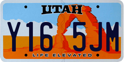 UT license plate Y165JM