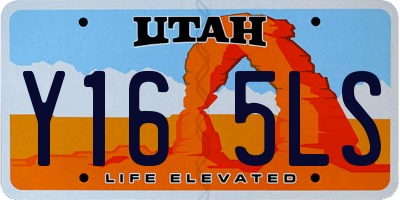 UT license plate Y165LS