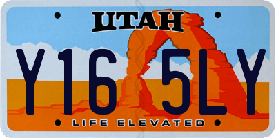 UT license plate Y165LY