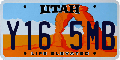 UT license plate Y165MB