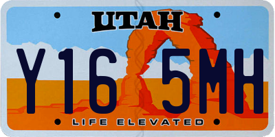 UT license plate Y165MH