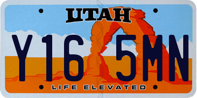 UT license plate Y165MN
